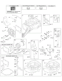 Camshaft, Crankshaft, Cylinder, Engine Sump, Kit / Gasket, Lubrication, Piston Group, Valves parts for Briggs & Stratton Engine 124H02-0100-D1 from AppliancePartsPros.com