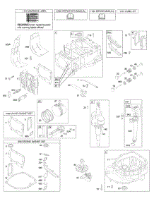 Cam, Crankshaft, Cylinder, Engine Sump, Kit / Gasket, Lubrication, Piston Group, Valves parts for Briggs & Stratton Engine 124K02-0891-B1 from AppliancePartsPros.com