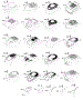 Shrouds