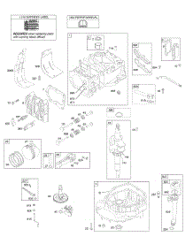 Camshaft, Crankshaft, Cylinder, Engine Sump, Lubrication, Piston Group, Valves parts for Briggs & Stratton Engine 126T02-7193-H1 from AppliancePartsPros.com