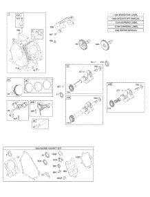 Camshaft, Crankshaft, Cylinder, Piston Group parts for Briggs & Stratton Engine 127332-0154-B1 from AppliancePartsPros.com