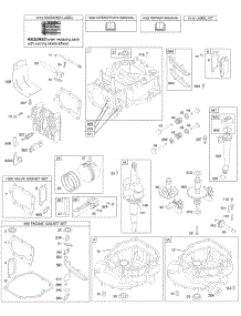 Camshaft, Crankshaft, Cylinder, Engine Sump, Lubrication, Piston Group, Valves parts for Briggs & Stratton Engine 127887-1571-21 from AppliancePartsPros.com