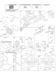 Cams, Crankshaft, Cylinder, Engine Sump, Kit / Gaskets, Lubrication, Piston Group, Valves parts for Briggs & Stratton Engine 129702-1750-E1 from AppliancePartsPros.com