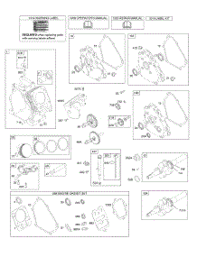 Camshaft, Crankcase Cover, Crankshaft, Cylinder, Lubrication, Piston Group parts for Briggs & Stratton Engine 12D313-0019-E1 from AppliancePartsPros.com