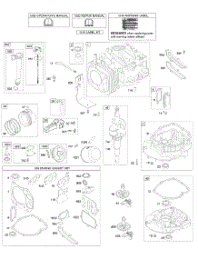 Camshaft, Crankshaft, Cylinder, Engine Sump, Lubrication, Piston Group parts for Briggs & Stratton Engine 12D607-0112-E1 from AppliancePartsPros.com