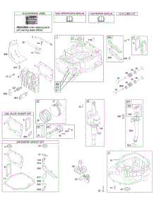 Cam, Crankshaft, Cylinder, Engine Sump, Kit / Gaskets, Lubrication, Piston Group, Valves parts for Briggs & Stratton Engine 12P802-0110-01 from AppliancePartsPros.com