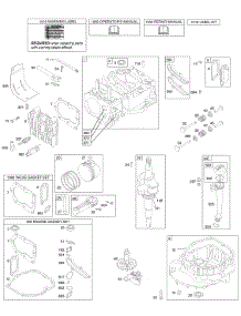Cam, Crankshaft, Cylinder, Engine Sump, Kit / Gaskets, Lubrication, Piston Group, Valves parts for Briggs & Stratton Engine 12Y802-0110-E1 from AppliancePartsPros.com