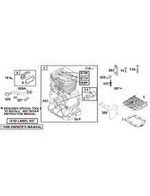 Cylinder Group parts for Briggs & Stratton Engine 134202-1118-E1 from AppliancePartsPros.com