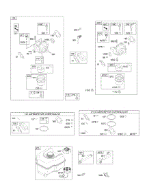 Carburetor, Fuel Supply parts for Briggs & Stratton Engine 157202-1014-E8 from AppliancePartsPros.com