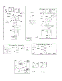 Carburetor, Fuel Supply parts for Briggs & Stratton Engine 157302-1065-E8 from AppliancePartsPros.com