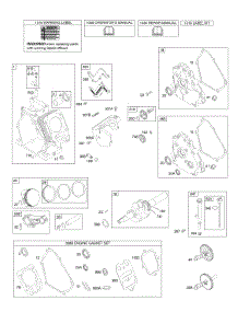 Camshaft, Crankcase Cover, Crankshaft, Cylinder, Lubrication, Piston Group parts for Briggs & Stratton Engine 15A114-0697-E1 from AppliancePartsPros.com