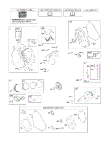 Camshaft, Crankcase Cover, Crankshaft, Cylinder, Lubrication, Piston Group parts for Briggs & Stratton Engine 15R114-1204-E1 from AppliancePartsPros.com