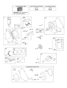 Camshaft, Crankcase Cover, Crankshaft, Cylinder, Lubrication, Piston Group parts for Briggs & Stratton Engine 15Z114-0111-E1 from AppliancePartsPros.com
