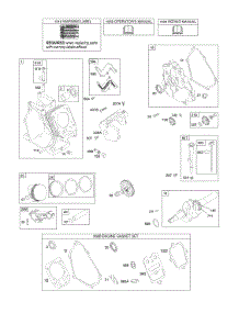 Camshaft, Crankcase Cover, Crankshaft, Cylinder, Lubrication, Piston Group parts for Briggs & Stratton Engine 15Z314-0111-E8 from AppliancePartsPros.com