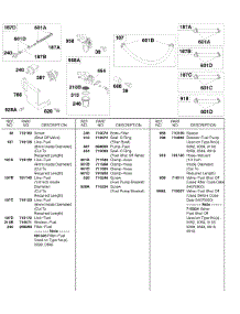 Fuel Lines, Fuel Filters parts for Briggs & Stratton Engine 185432-0290-B1 from AppliancePartsPros.com