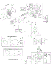 Cylinder, Crankshaft, Piston, Head, Sump, Counterweight, Oil, Gasket Kits parts for Briggs & Stratton Engine 195706-0148-01 from AppliancePartsPros.com
