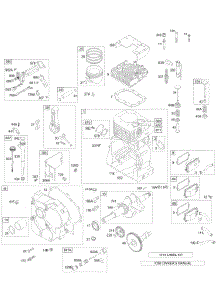 Crankcase Cover, Crankshaft, Breather, Cylinder, Pistons, Oil parts for Briggs & Stratton Engine 196432-1130-E1 from AppliancePartsPros.com
