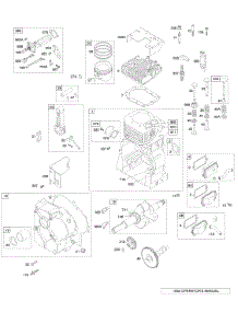 Cam, Crankshaft, Cylinder, Valves, Piston / Rings, Crankcase Cover / Sump, Head, Breather parts for Briggs & Stratton Engine 19E412-1170-E1 from AppliancePartsPros.com