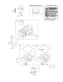 Cylinder, Engine Sump, Operator's Manual, Warning Label parts for Briggs & Stratton Engine 215907-0138-E1 from AppliancePartsPros.com