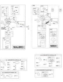 Carburetor, Kit - Carburetor Overhaul parts for Briggs & Stratton Engine 216902-0020-E1 from AppliancePartsPros.com