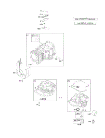 Cylinder, Engine Sump parts for Briggs & Stratton Engine 216902-0020-E1 from AppliancePartsPros.com