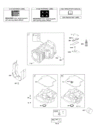 Cylinder, Engine Sump, Lubrication, Operator's Manual, Warning Label parts for Briggs & Stratton Engine 217807-2391-B1 from AppliancePartsPros.com