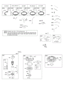 Alternator, Electric Starter, Ignition, Rewind Starter parts for Briggs & Stratton Engine 219807-2189-B1 from AppliancePartsPros.com