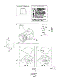Cylinder, Engine Sump, Operator's Manual, Warning Label parts for Briggs & Stratton Engine 21A877-0121-B1 from AppliancePartsPros.com
