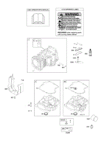 Cylinder, Engine Sump, Operator's Manual, Warning Label parts for Briggs & Stratton Engine 21A972-0190-E9 from AppliancePartsPros.com
