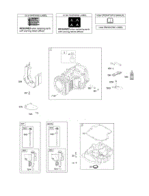 Cylinder, Engine Sump parts for Briggs & Stratton Engine 21R507-0012-H1 from AppliancePartsPros.com