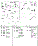 Starter Panel Kits