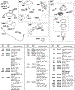 Fuel Filter, Fuel Pump, Fuel Line