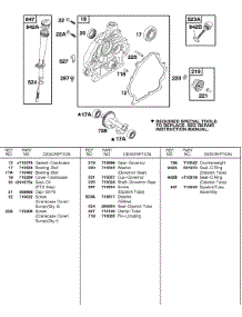 Crankcase Cover, Lubrication parts for Briggs & Stratton Engine 247432-0113-E9 from AppliancePartsPros.com