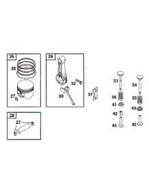 Piston Grp parts for Briggs & Stratton Engine 254415-0550-01 from AppliancePartsPros.com