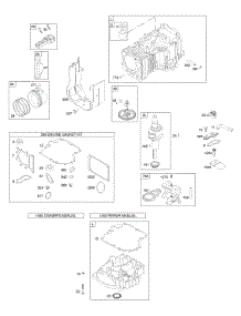 Camshaft, Crankshaft, Cylinder, Engine Sump, Gasket Set - Engine, Piston, Rings, Connecting Rod parts for Briggs & Stratton Engine 281H07-0384-E1 from AppliancePartsPros.com