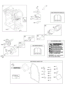 Camshaft, Crankshaft, Cylinder, Engine Gasket Set, Piston / Rings / Connecting Rod parts for Briggs & Stratton Engine 304447-0300-E1 from AppliancePartsPros.com