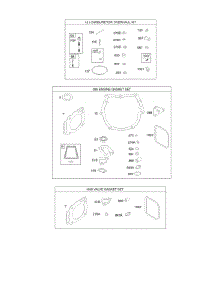 Carburetor Overhaul Kit, Engine / Valve Gasket Sets parts for Briggs & Stratton Engine 305777-0116-E1 from AppliancePartsPros.com