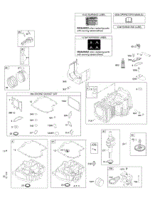 Camshaft, Crankshaft, Cylinder, Engine Sump, Gasket Set - Engine, Operator's Manual, Piston, Rings, Connecting Rod, Warning Label parts for Briggs & Stratton Engine 31A707-0525-B1 from AppliancePartsPros.com