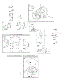 Camshaft, Crankshaft, Cylinder, Engine Sump, Gasket Set - Engine, Piston, Rings, Connecting Rod parts for Briggs & Stratton Engine 31M777-0111-E1 from AppliancePartsPros.com