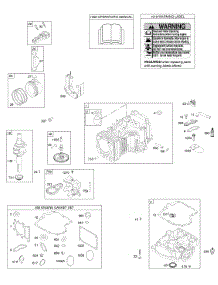 Camshaft, Crankshaft, Cylinder, Engine Sump, Gasket Set - Engine, Operator's Manual, Piston, Rings, Connecting Rod, Warning Label parts for Briggs & Stratton Engine 31M977-0112-E1 from AppliancePartsPros.com