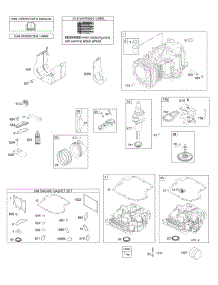 Camshaft, Crankshaft, Cylinder, Engine Sump, Gasket Set - Engine, Operator's Manual, Piston, Rings, Connecting Rod, Warning Label parts for Briggs & Stratton Engine 31N777-0131-B1 from AppliancePartsPros.com