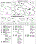 Engine / Valve / Carburetor Gasket Sets