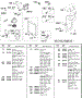 Fuel Pump, Fuel Filter