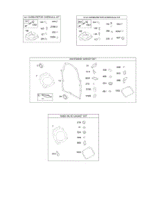 Carburetor Overhaul Kit, Engine & Valve Set parts for Briggs & Stratton Engine 356447-0264-G1 from AppliancePartsPros.com
