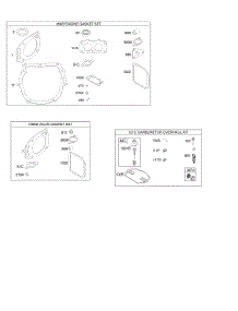 Gasket Set - Engine, Gasket Set - Valve, Kit - Carburetor Overhaul parts for Briggs & Stratton Engine 380777-0131-E1 from AppliancePartsPros.com