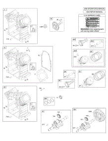Camshaft, Crankshaft, Cylinder, Piston, Rings, Connecting Rod parts for Briggs & Stratton Engine 384447-0113-E1 from AppliancePartsPros.com