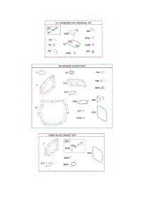 Engine, Valve, And Carburetor Kits parts for Briggs & Stratton Engine 385777-0118-G1 from AppliancePartsPros.com