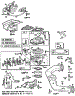 Carburetor Assembly,Manifold