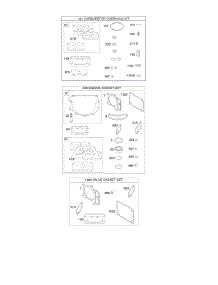 Engine / Valve Gasket Set, Carburetor Overhaul Kit parts for Briggs & Stratton Engine 40S877-0011-G1 from AppliancePartsPros.com
