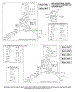 Carburetor, Kits / Gasket-Carburetor